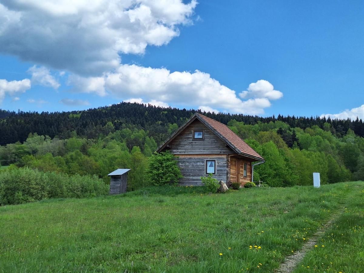 Drewniana chata na zielonej łące pod błękitnym niebem, za nią las