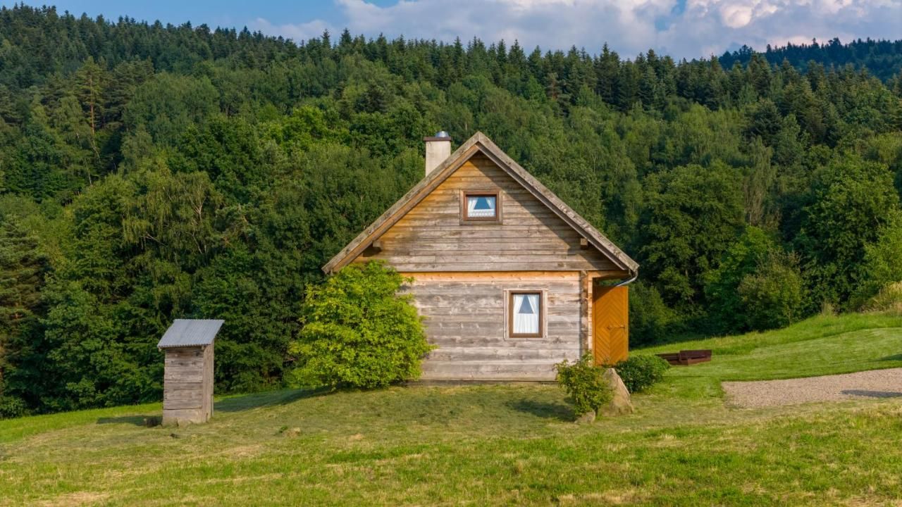 Chata na łące, za nią porośnięte lasem wzgórze