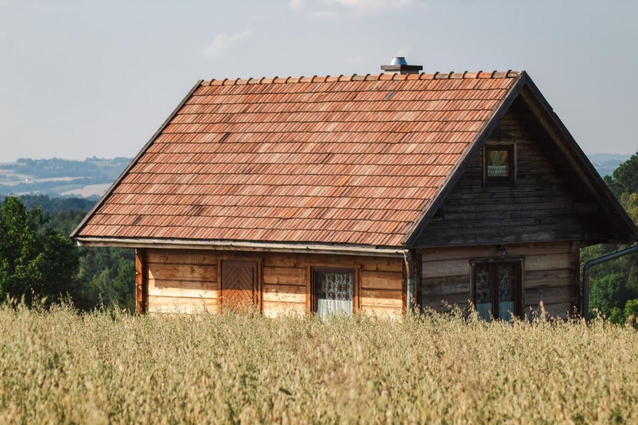 Drewniana chata z czerwonym dachem, przed nią wysoka trawa